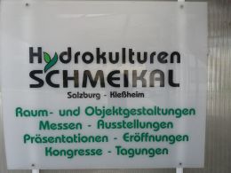 20210625_094357.jpg