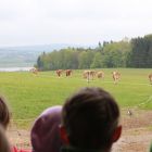 IMG_9298.jpg