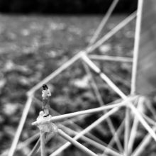 IMG_0355.jpeg