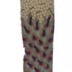 Abb.2.png