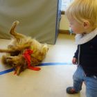 hundebesuch_B.jpg