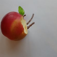 5M_KreativChallenge23.jpg